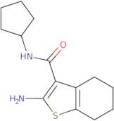 2-Amino-N-cyclopentyl-4,5,6,7-tetrahydro-1-benzothiophene-3-carboxamide