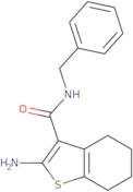 2-Amino-N-benzyl-4,5,6,7-tetrahydro-1-benzothiophene-3-carboxamide