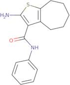 2-Amino-N-phenyl-5,6,7,8-tetrahydro-4H-cyclohepta[b]thiophene-3-carboxamide