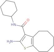 2-Amino-N-cyclohexyl-4,5,6,7,8,9-hexahydrocycloocta[b]thiophene-3-carboxamide
