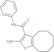 2-Amino-N-phenyl-4,5,6,7,8,9-hexahydrocycloocta[b]thiophene-3-carboxamide