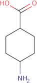 cis-4-Aminocyclohexane carboxylic acid