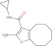 2-Amino-N-cyclopropyl-4,5,6,7,8,9-hexahydrocycloocta[b]thiophene-3-carboxamide