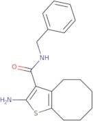 2-Amino-N-benzyl-4,5,6,7,8,9-hexahydrocycloocta[b]thiophene-3-carboxamide