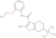 2-Amino-N-(2-ethoxyphenyl)-tert-butyl-4,5,6,7-tetrahydro-1-benzothiophene-3-carboxamide