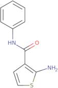 2-Amino-N-phenylthiophene-3-carboxamide