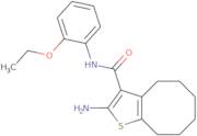 2-Amino-N-(2-ethoxyphenyl)-4,5,6,7,8,9-hexahydrocycloocta[b]thiophene-3-carboxamide