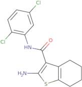 2-Amino-N-(2,5-dichlorophenyl)-4,5,6,7-tetrahydro-1-benzothiophene-3-carboxamide