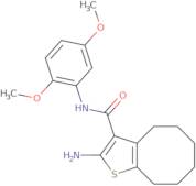 2-Amino-N-(2,5-dimethoxyphenyl)-4,5,6,7,8,9-hexahydrocycloocta[b]thiophene-3-carboxamide