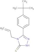 4-Allyl-5-(4-tert-butylphenyl)-4H-1,2,4-triazole-3-thiol