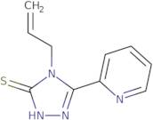 4-Allyl-5-pyridin-2-yl-4H-1,2,4-triazole-3-thiol