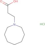 3-Azocan-1-ylpropanoic acid hydrochloride