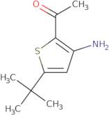 1-(3-Amino-5-tert-butylthien-2-yl)ethanone