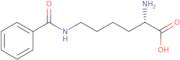 2-Amino-6-(benzoylamino)hexanoic acid