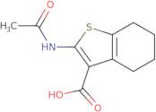 2-(Acetylamino)-4,5,6,7-tetrahydro-1-benzothiophene-3-carboxylic acid