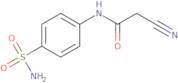 N-[4-(Aminosulfonyl)phenyl]-2-cyanoacetamide