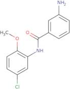 3-Amino-N-(5-chloro-2-methoxyphenyl)benzamide