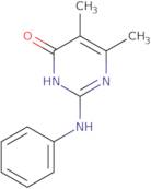 2-Anilino-5,6-dimethylpyrimidin-4(3H)-one