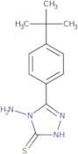 4-Amino-5-(4-tert-butylphenyl)-4H-1,2,4-triazole-3-thiol