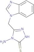 4-Amino-5-(1H-benzimidazol-1-ylmethyl)-4H-1,2,4-triazole-3-thiol