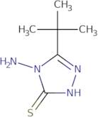 4-Amino-5-tert-butyl-4H-1,2,4-triazole-3-thiol