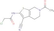 N-(6-Acetyl-3-cyano-4,5,6,7-tetrahydrothieno[2,3-c]pyridin-2-yl)-2-chloroacetamide