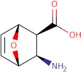 3-Amino-7-oxabicyclo[2.2.1]hept-5-ene-2-carboxylic acid hydrochloride