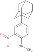 [4-(1-Adamantyl)-2-nitrophenyl]methylamine