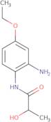 N-(2-Amino-4-ethoxyphenyl)-2-hydroxypropanamide