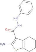 2-Amino-N'-phenyl-4,5,6,7-tetrahydro-1-benzothiophene-3-carbohydrazide