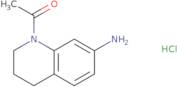 1-Acetyl-1,2,3,4-tetrahydroquinolin-7-amine hydrochloride