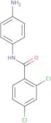 N-(4-Aminophenyl)-2,4-dichlorobenzamide