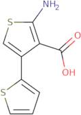 5'-Amino-2,3'-bithiophene-4'-carboxylic acid