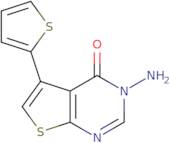 3-Amino-5-(2-thienyl)thieno[2,3-d]pyrimidin-4(3H)-one