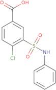 3-(Anilinosulfonyl)-4-chlorobenzoic acid