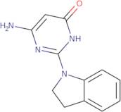 6-Amino-2-(2,3-dihydro-1H-indol-1-yl)pyrimidin-4(3H)-one