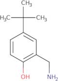2-(Aminomethyl)-4-tert-butylphenl
