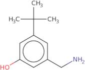 3-(Aminomethyl)-5-tert-butylphenol