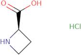 (R)-Azetidine-2-carboxylic acid hydrochloride
