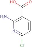 2-Amino-6-chloronicotinic acid