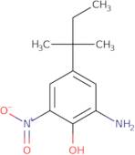 4-tert-Amyl-2-amino-6-nitrophenol