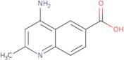 4-Amino-2-methylquinoline-6-carboxylicacid
