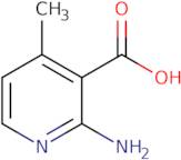 2-Amino-4-methylpyridine-3-carboxylicacid