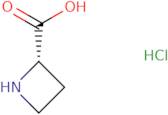 L-Azetidine-2-carboxylic acidHCl