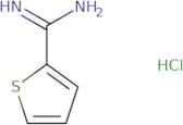 Thiophene-2-amidine hydrochloride