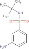 3-Amino-N-(tert-butyl)benzenesulfonamide