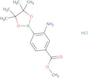 (2-Amino-4-methoxycarbonyl)benzeneboronic acid pinacolesterHydrochloride