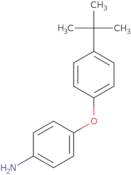 4-Amino-4'-tert butyl diphenylether