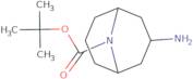 3-Amino-N-boc-9-azabicyclo[3.3.1]nonane