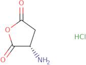 (3S)-3-Aminodihydro-2,5-furandioneHydrochloride